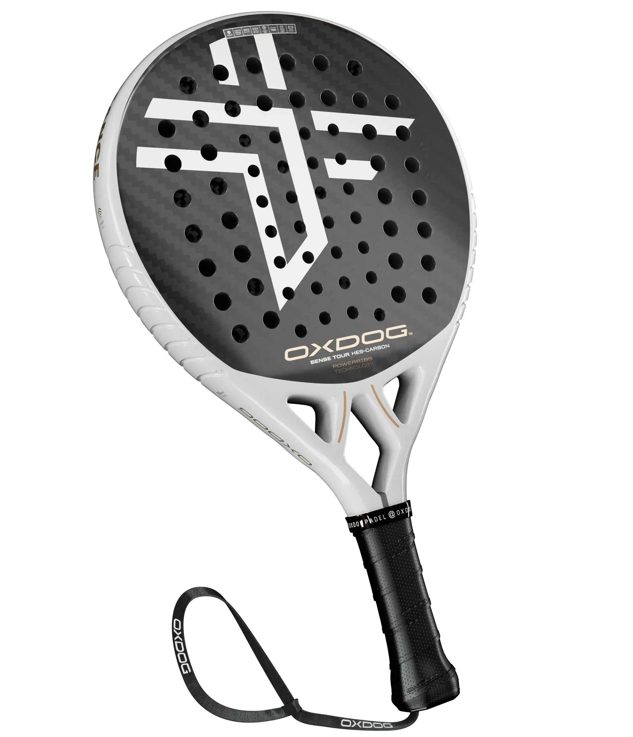 SENSE TOUR